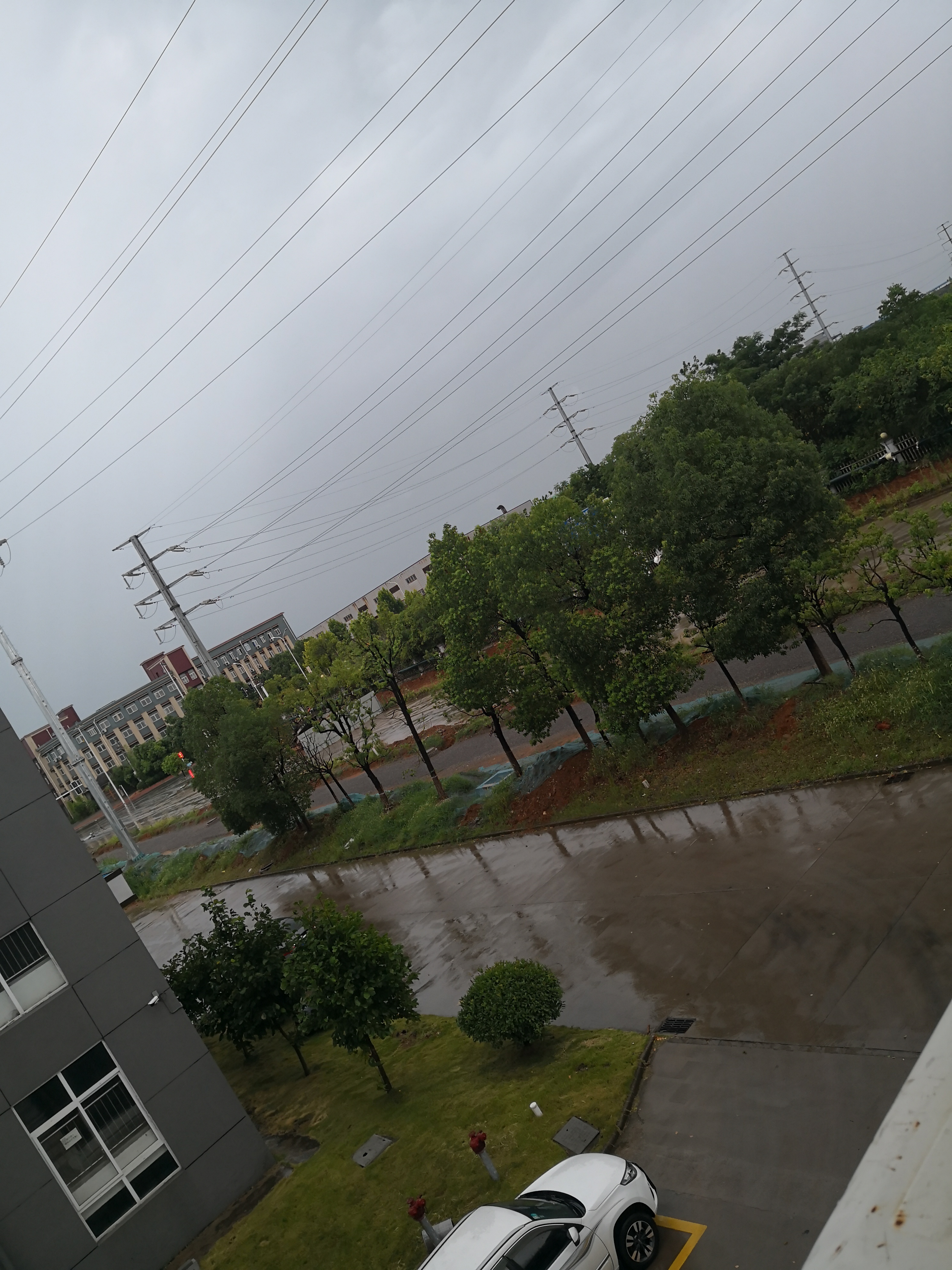 IMG_20220726_112539.jpg