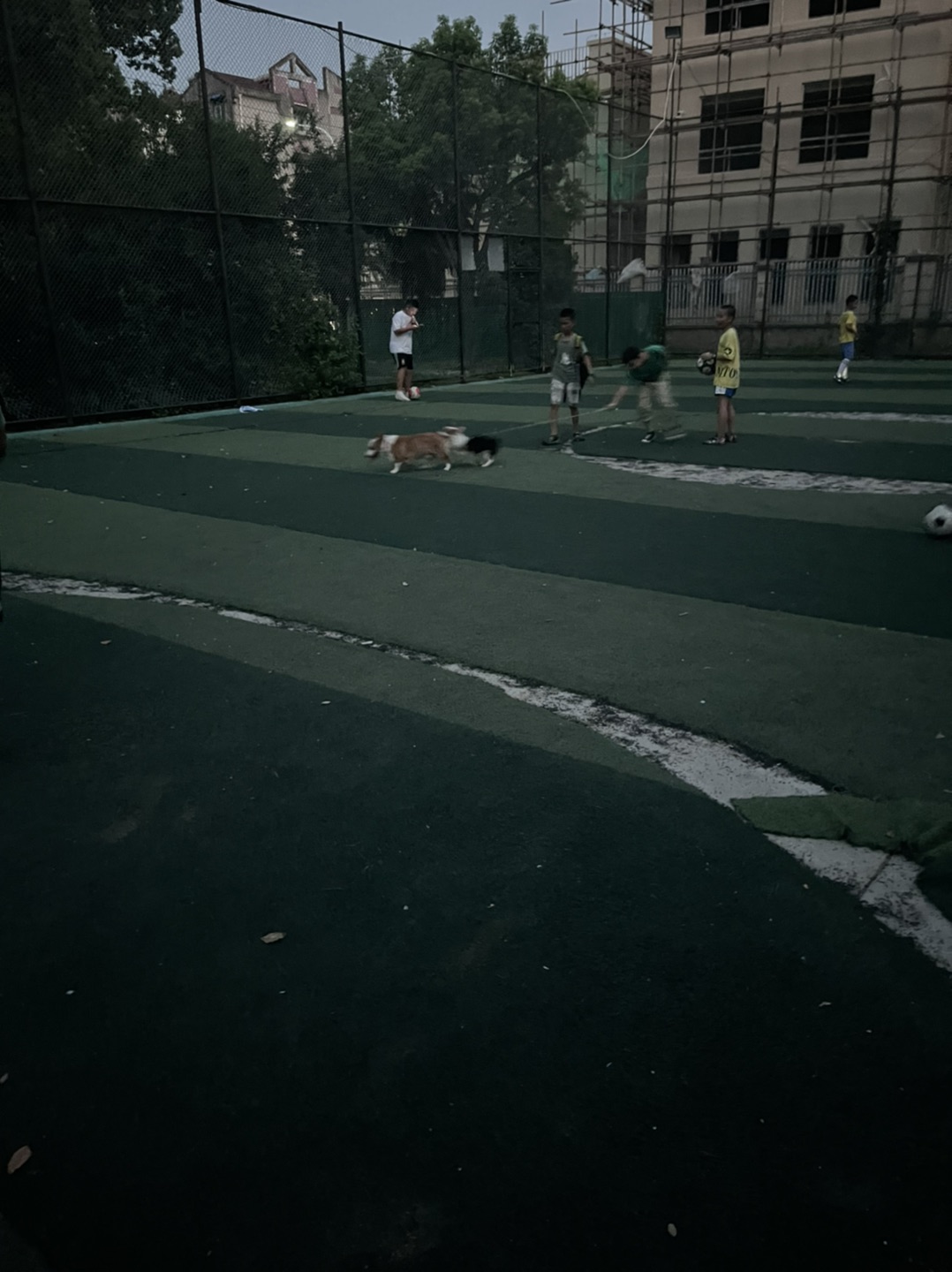 20220731193003front1_0_289884_FrxZRU4VY_41b9jCHSFlpN9RLM6s.jpg