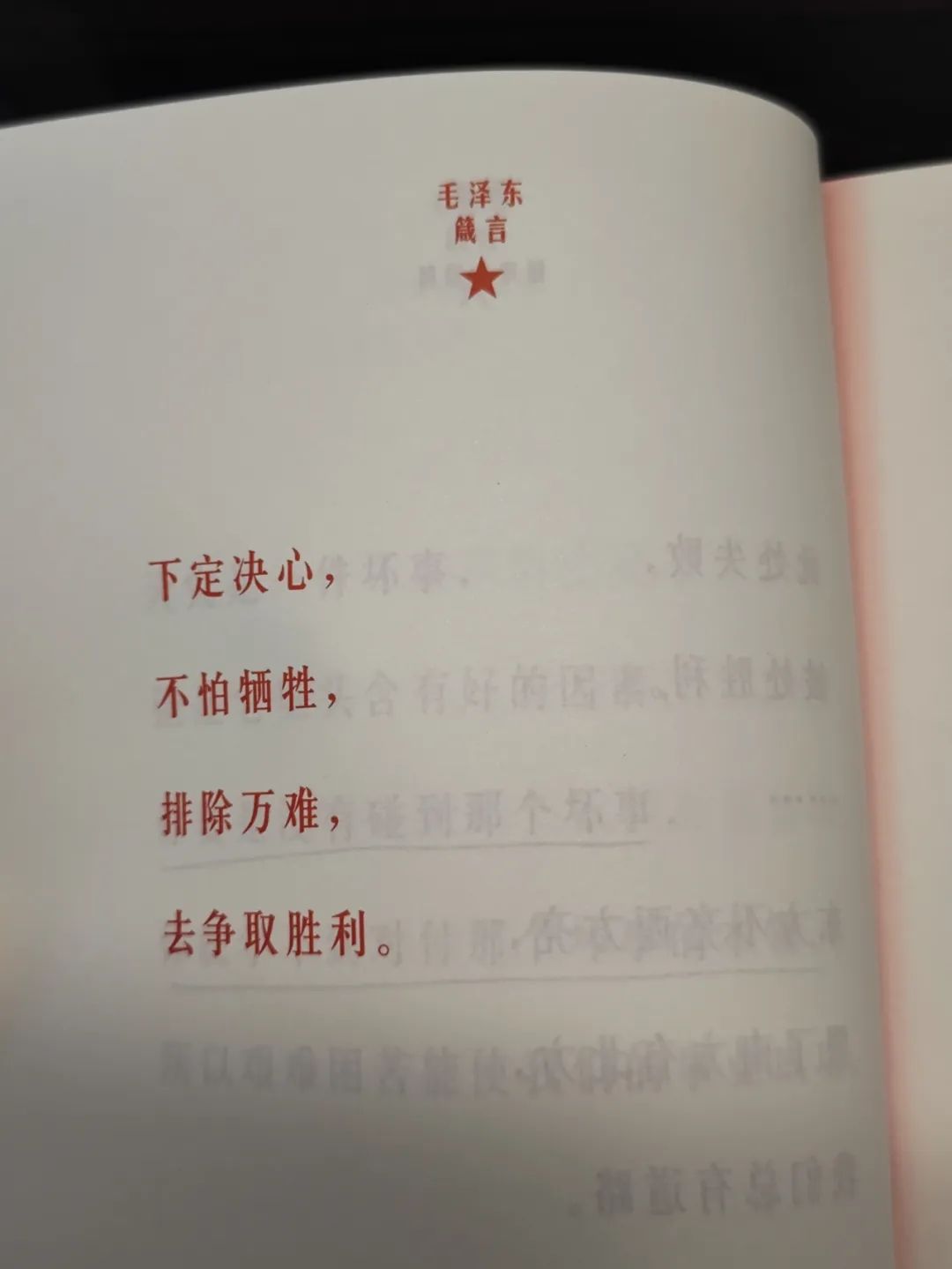 20220805130429front2_0_219002_FqD0NDEa9ncL7f_MAEAKzQ_D1bEO.jpg