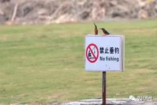 微信图片_20220805222730.png