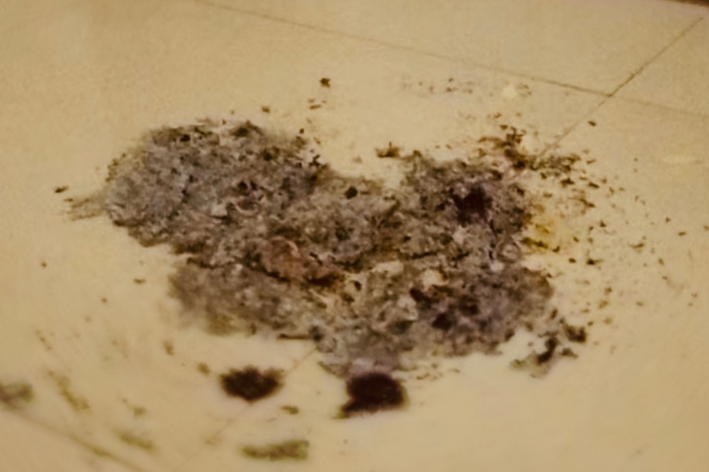 20220812091629front1_0_232566_Fr92b_qWp6dkv29eFJNnAxFpDt1e.jpg
