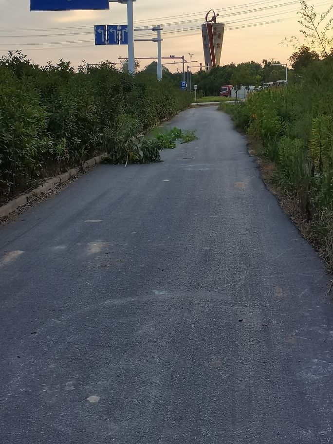 20220813193714front2_0_292004_Fi67VlnvBTTaiOrz4zkfuKjc7Y9k.jpg