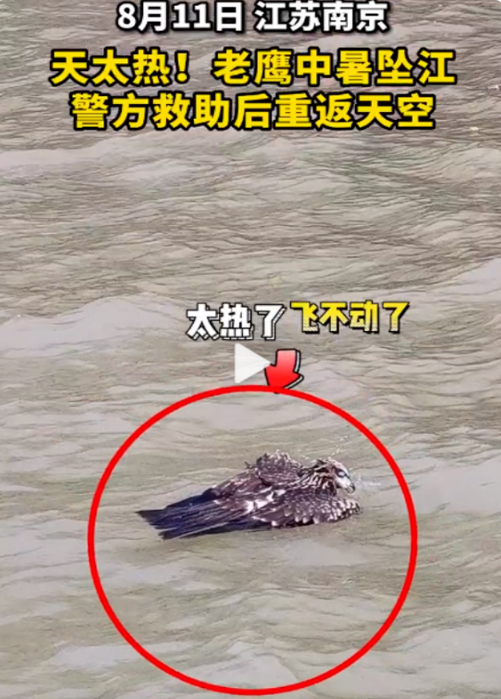微信图片_20220818200039.png