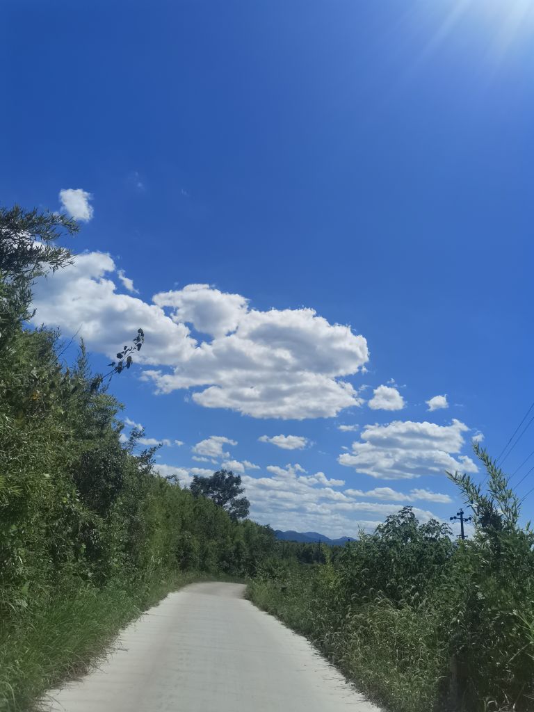 20220821201902front2_0_98326_Fjpfdv98Lsi9YTki0057igt99VK_.jpg