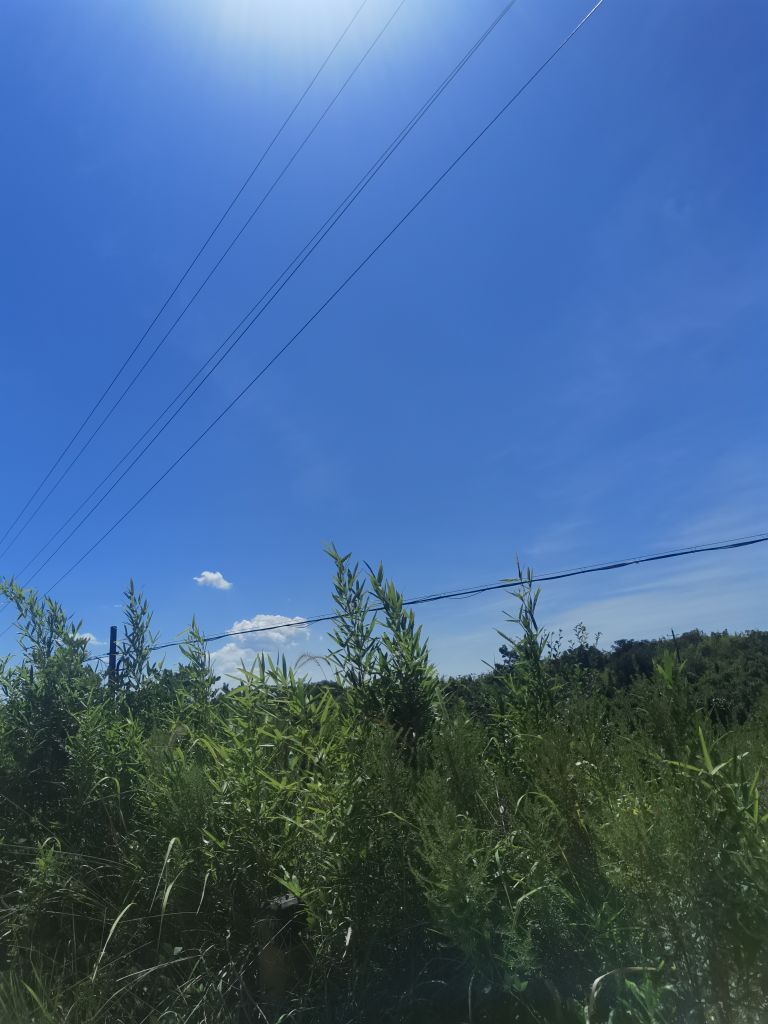 20220821201901front2_0_98326_Fq3FpRwO83JKcnrgI_0wRsJat3w8.jpg