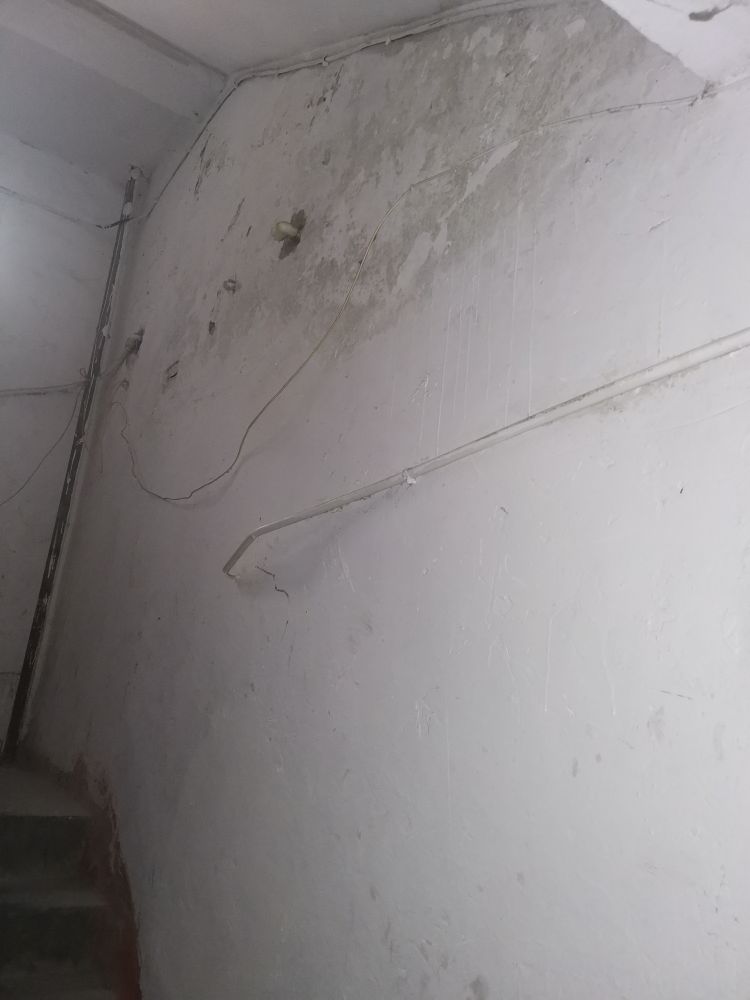 20220822113028front2_0_368625_FqaFo7DpsnEva5DGXeoUIrUFE3Rj.jpg