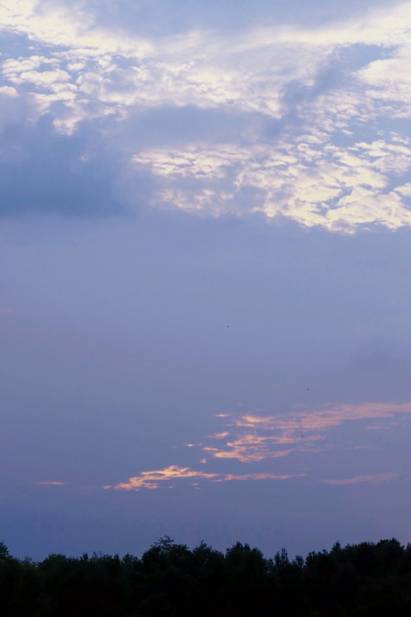 20220823072409front2_0_296400_Fld7fyz6j71g-qyZres4kMx3cKjc.png