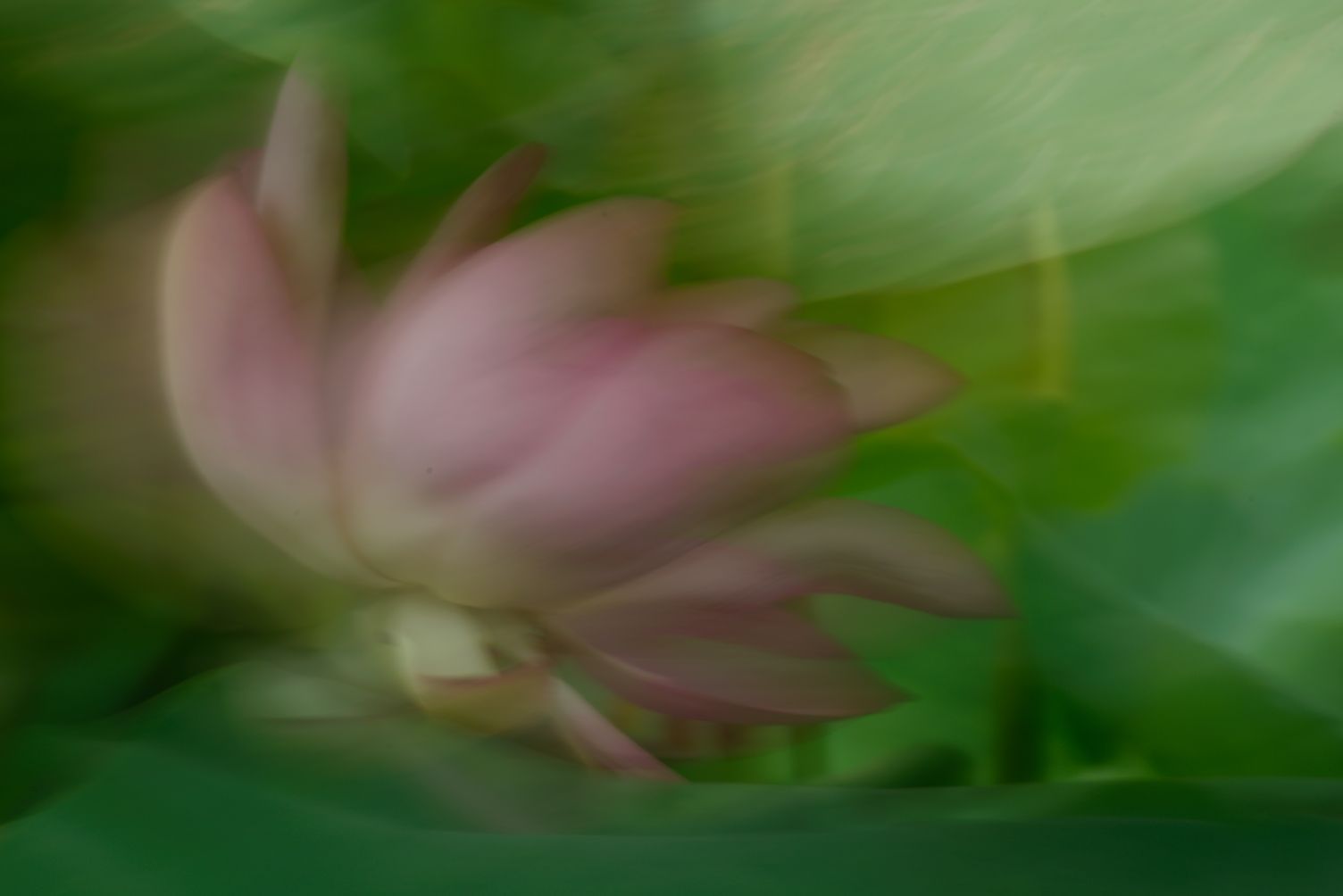 20220824130344front2_0_352546_Fjt76eZvDAbftkymrfDdcRHzdM04.jpg