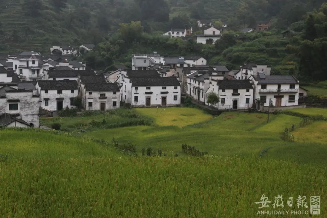 微信图片_20220917190456.jpg