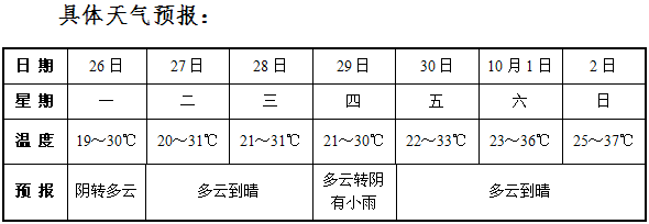 11.png