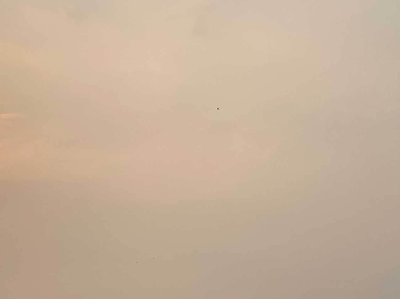20220927165357front1_0_351029_FifWmysIO5YCoqf0mH73VMEMN5eU.jpg