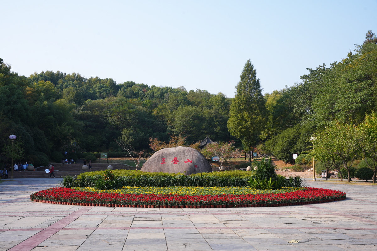 DSC01366.jpg