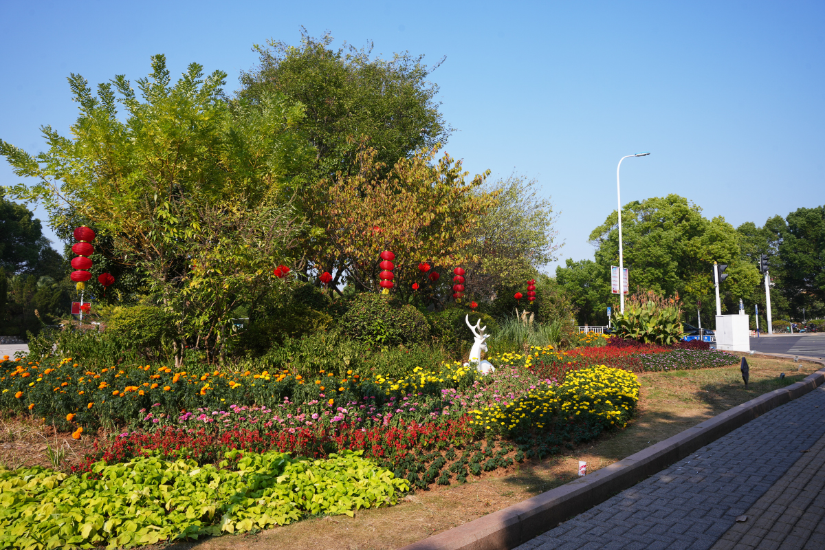 DSC01305.jpg