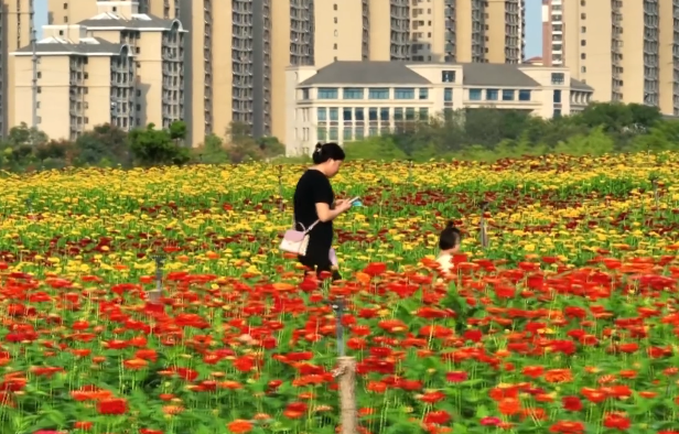 微信截图_20221001163349.png
