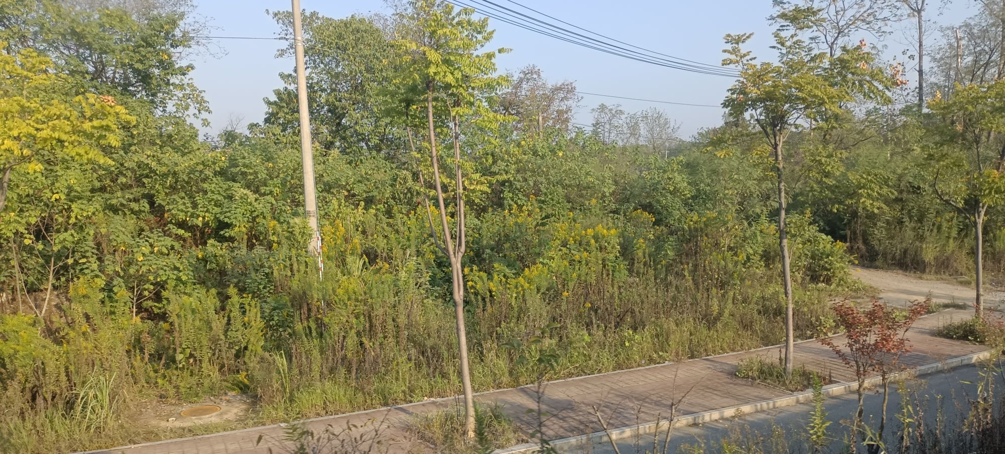 20221022075959front2_0_290569_Fo97UFR5tcK8agDTe10lvbdVWrwy.jpg