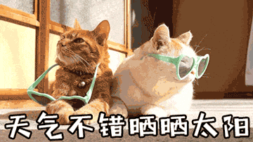 6.gif
