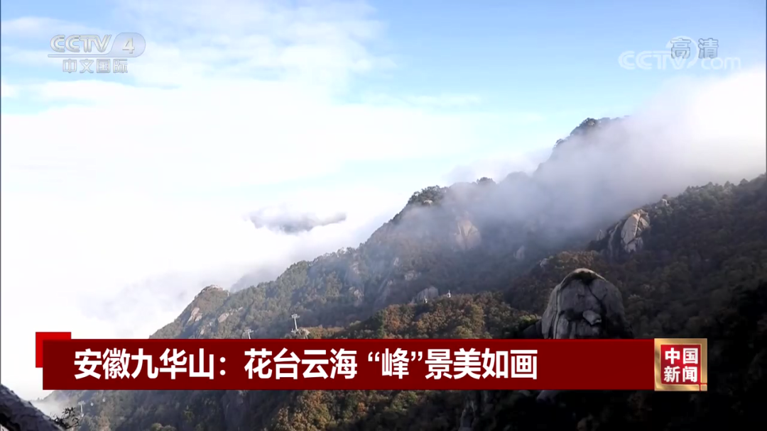 微信图片_20221031091723.png