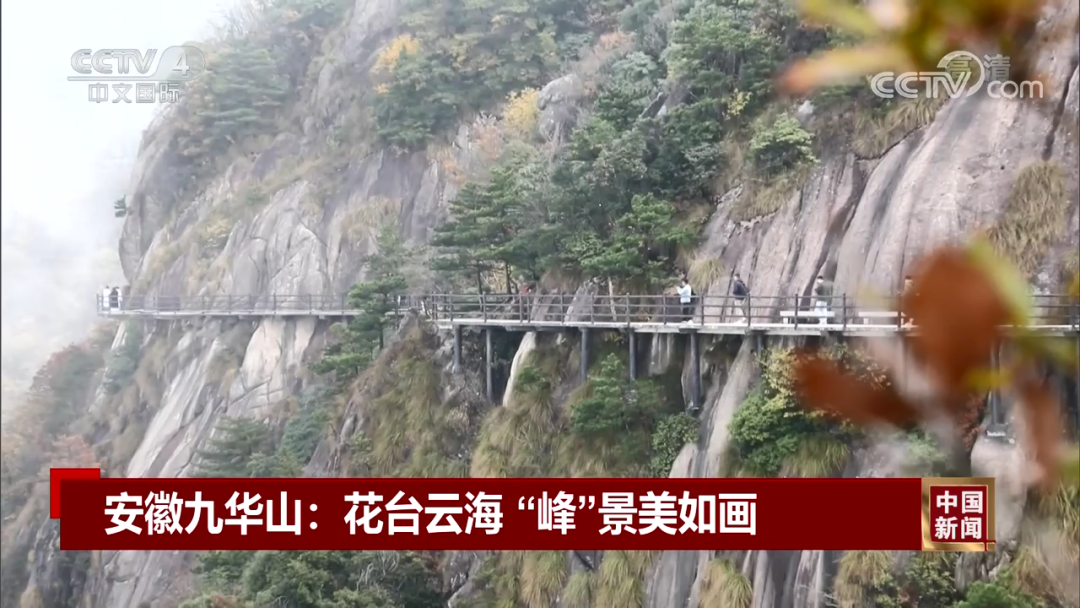 微信图片_20221031091726.png