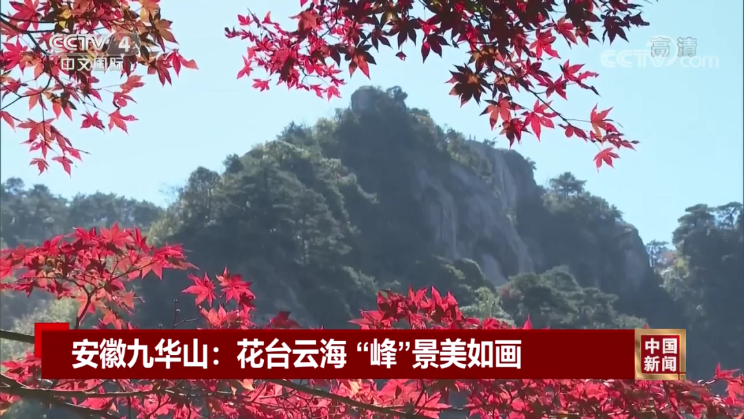 微信图片_20221031091728.png