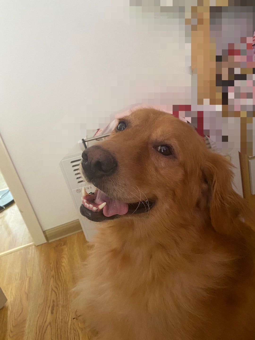 20221103203125front1_0_257108_Fr0q73OpTp3-AiEByw_865K1B4ji.jpg