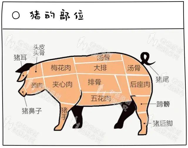 微信图片_20221108110105.jpg