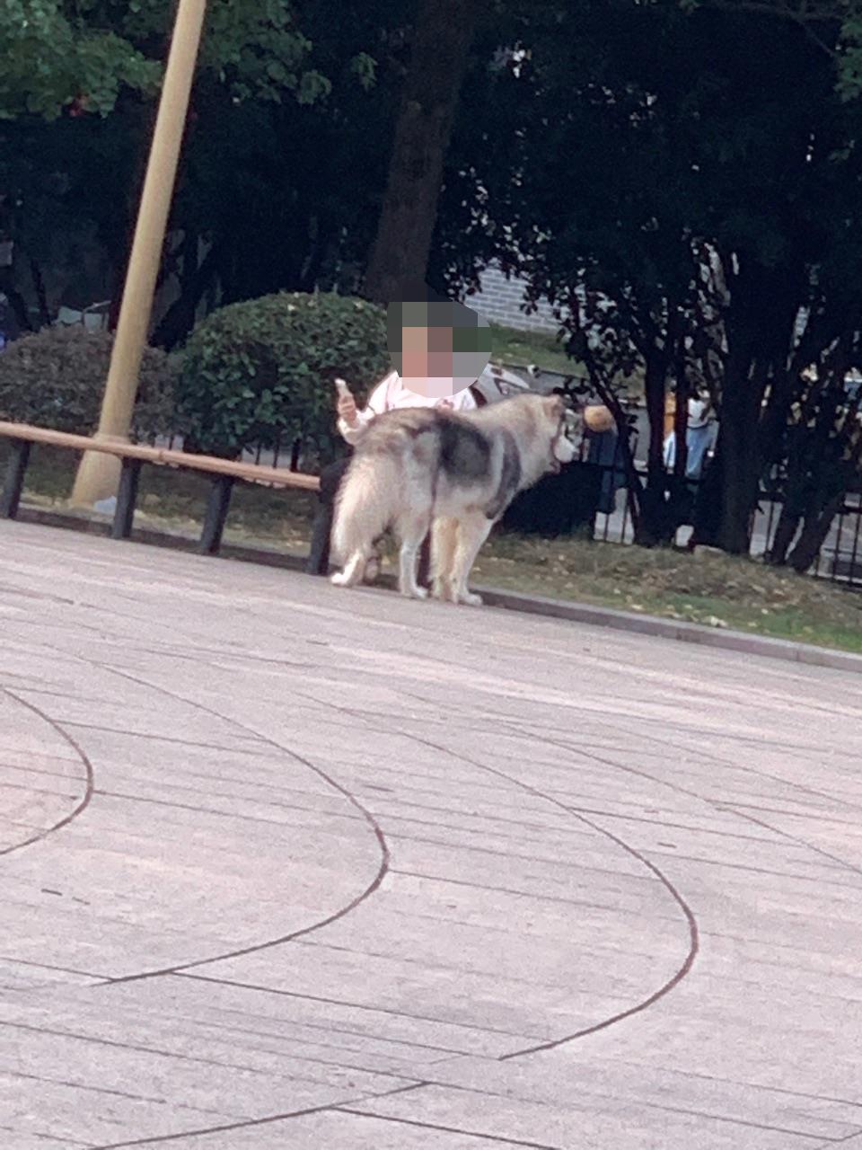 微信图片编辑_20221109084319.jpg