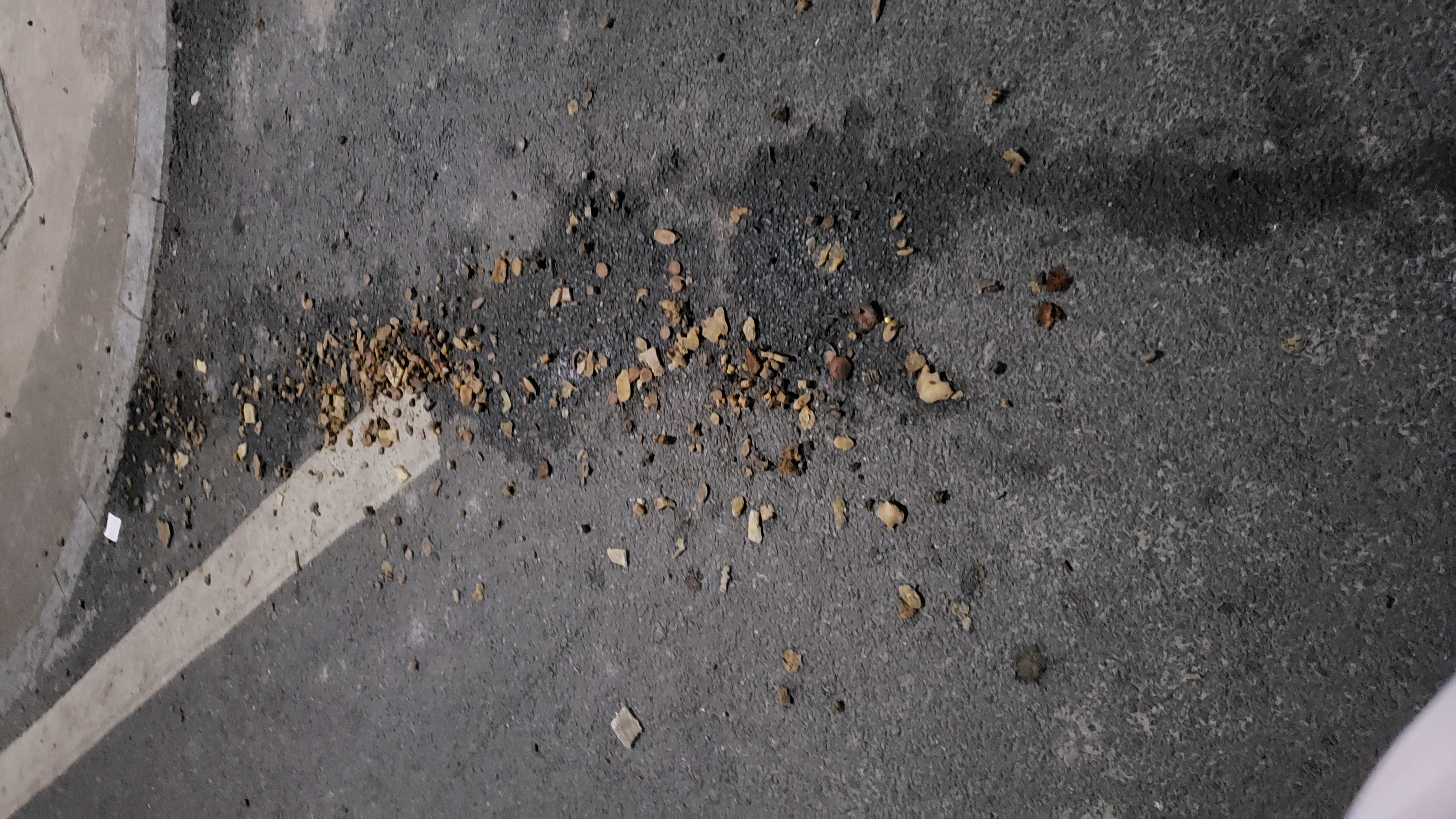 20221109_210352.jpg