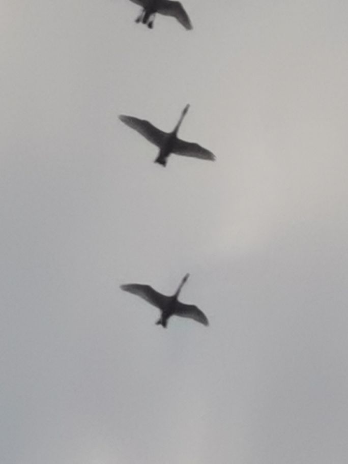 20221113191940front2_0_233786_FvKXpBe_U6SZF6_LKyaqvffTrgQy.jpg