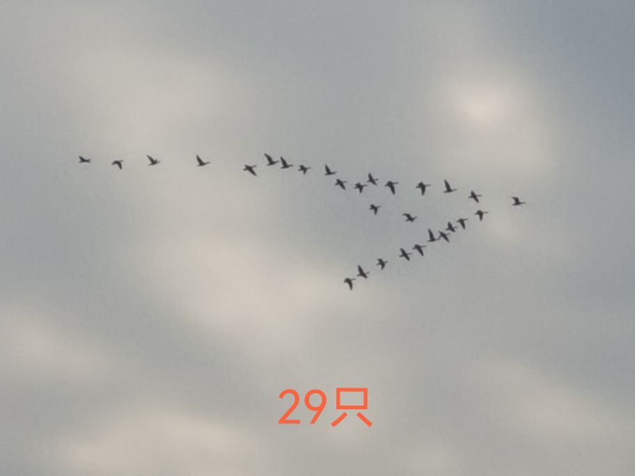 20221113191940front2_0_233786_FtVN-H6euHH6JgH-zqXK56-e1ztC.jpg