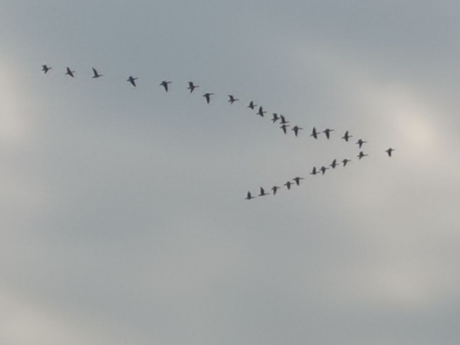 20221113191941front2_0_233786_Fkfj54zpoWtvm8aYSumG7m8YdAm8.jpg