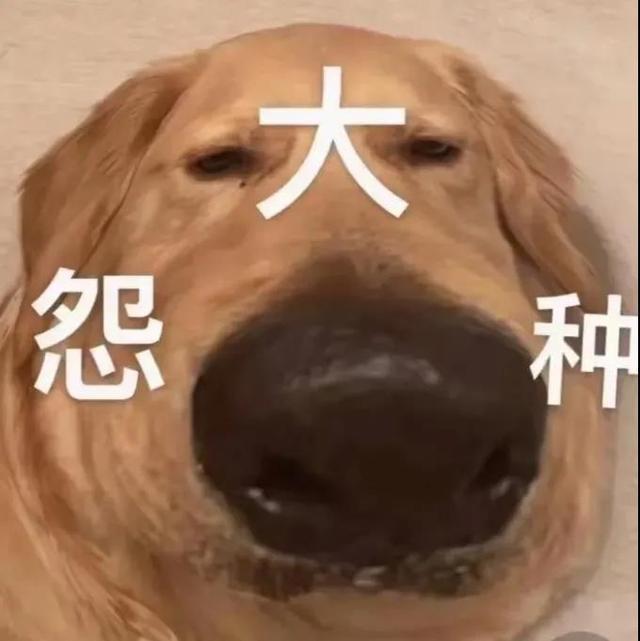 6b40671022cb698f48b82a4306612fb1.jpeg