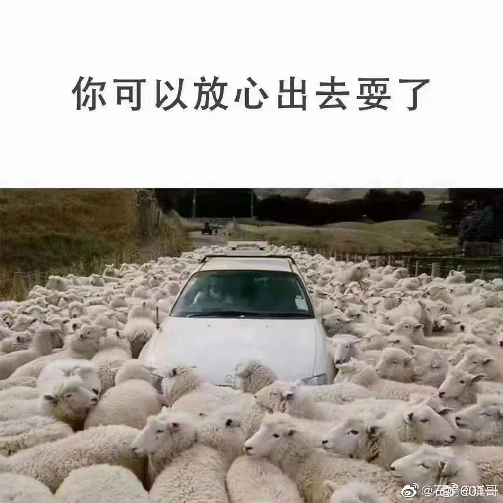 d6c06169ly1h8va2mezp7j20u00u0n0f.jpg