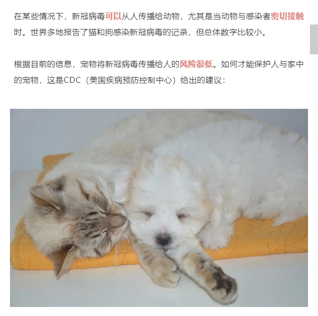 微信截图_20221212145653.png