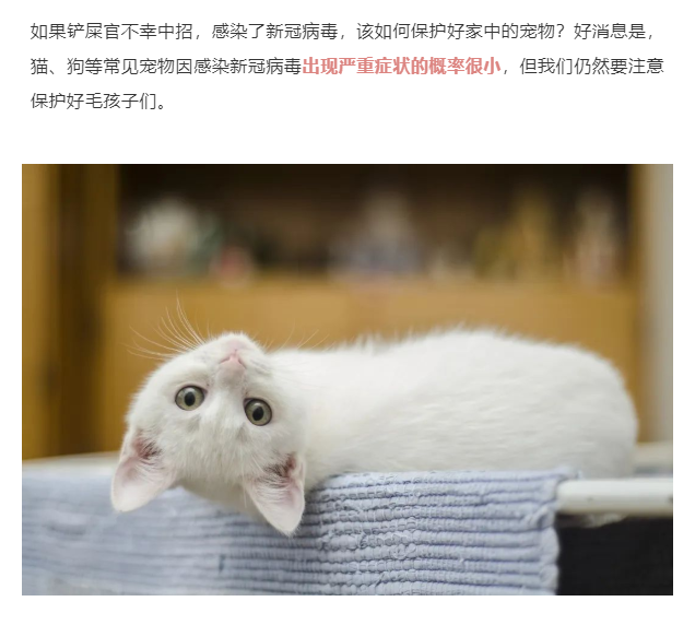 微信截图_20221212145636.png