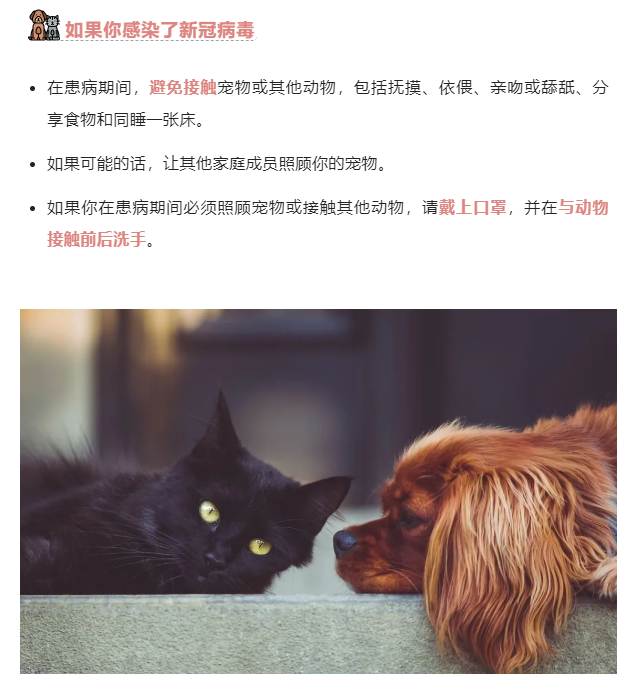 微信截图_20221212145742.png