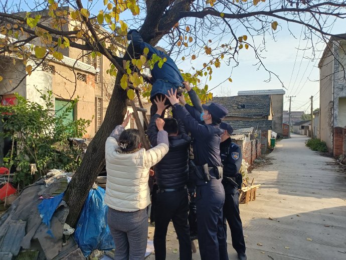 93fcaf38ly1h95g316avcj21400u0qg2.jpg