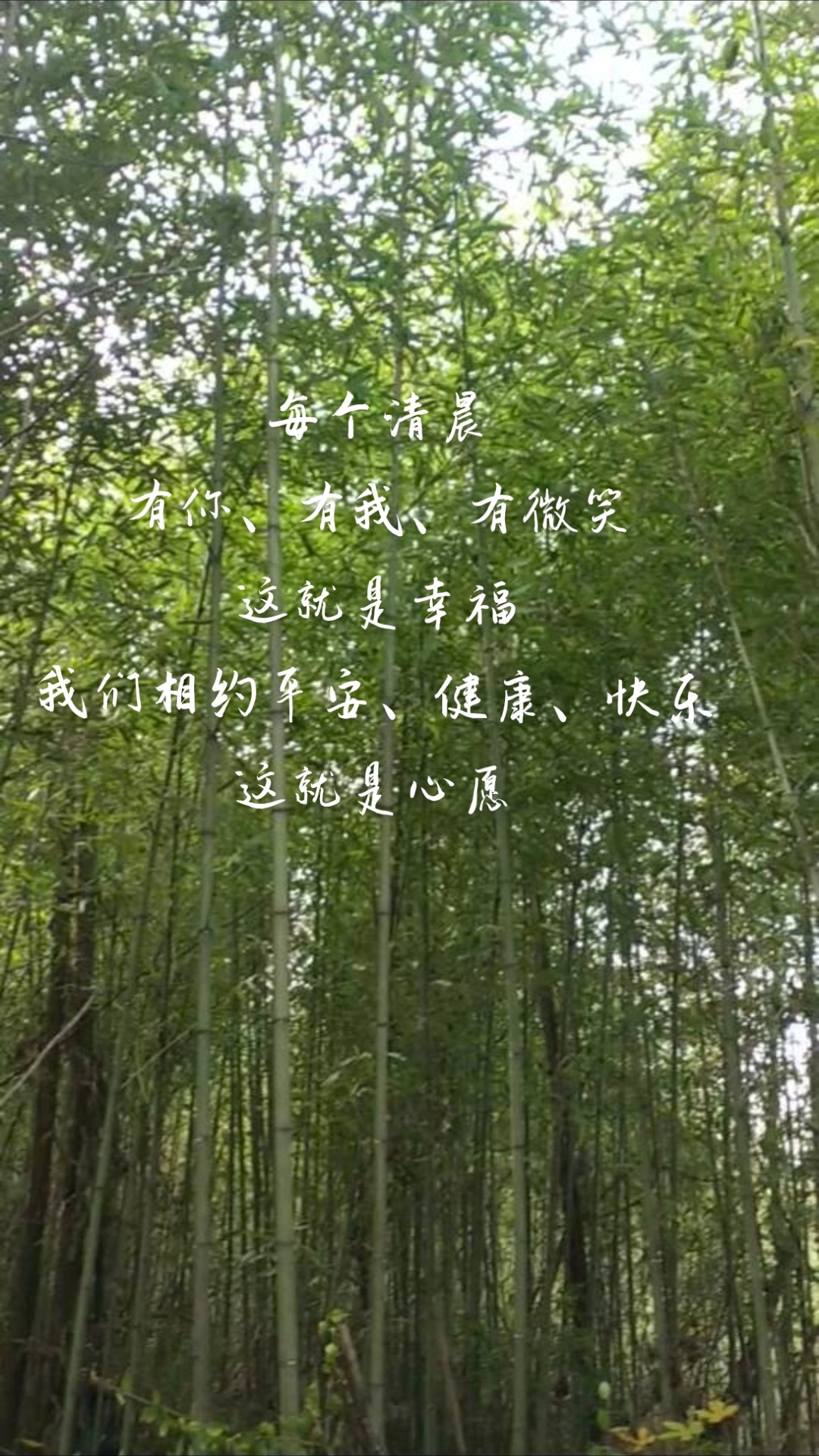 20221220224837front2_0_283082_FhtPE-HvrbR-Y6BoxH00c-6dJXkh.jpg