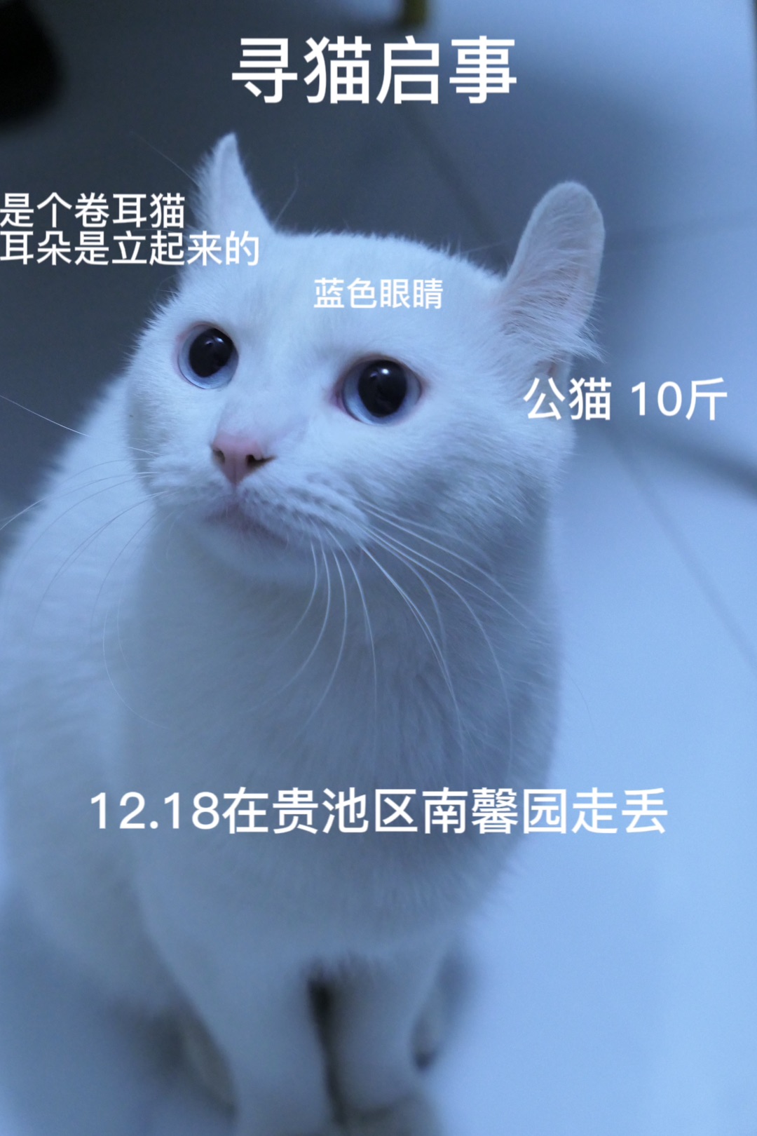 20221221182503front1_0_380130_Fm7Inol6_lsYHFQc56xtU1YzST_f.jpg