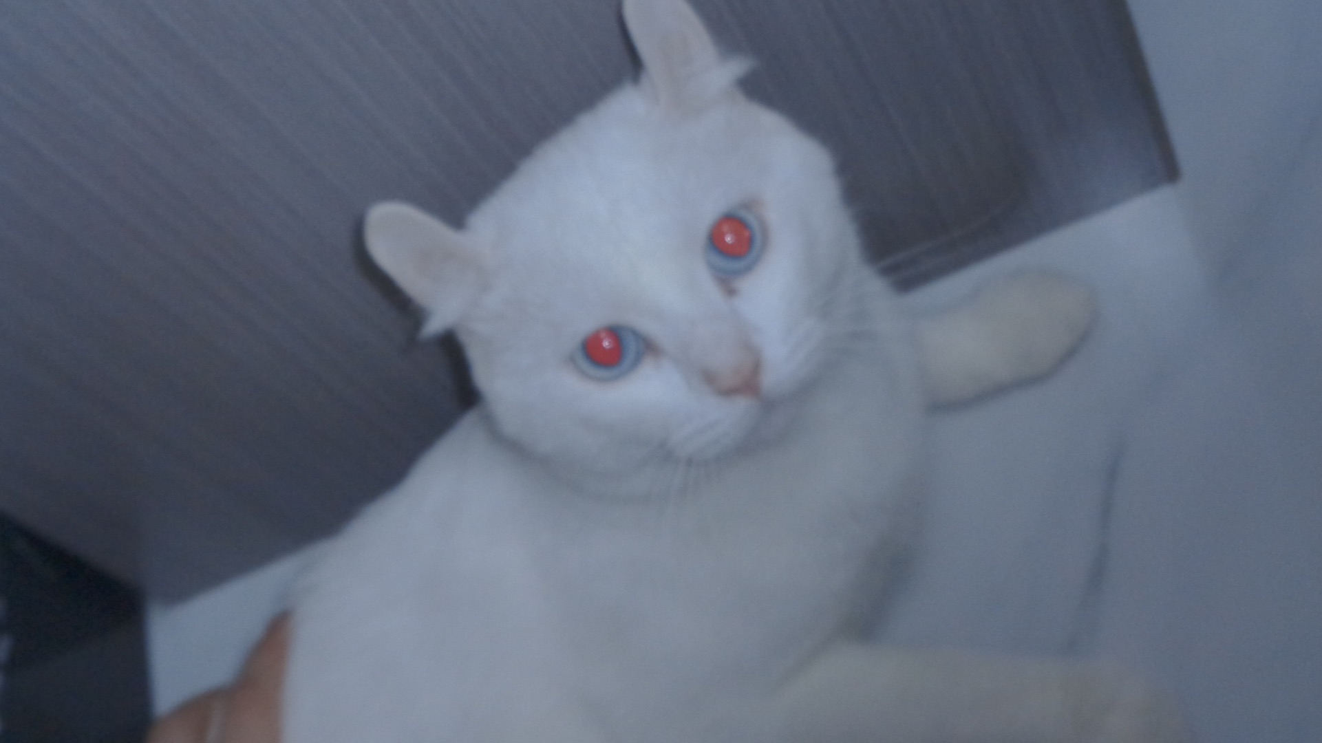20221221182624front1_0_380130_Fjokm8zCvP_evezZ5k8hYAzmWwW2.jpg