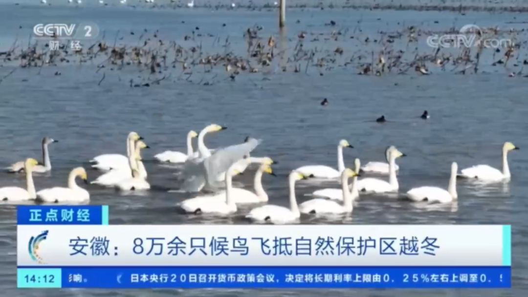 微信图片_20221222073954.png