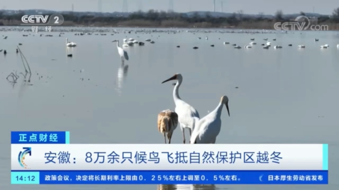 微信图片_20221222073957.png