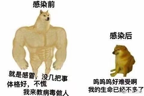 20221222082335front2_0_221774_FiK0yRtfmNyTL8eqRgfL1xTFDU4j.jpg