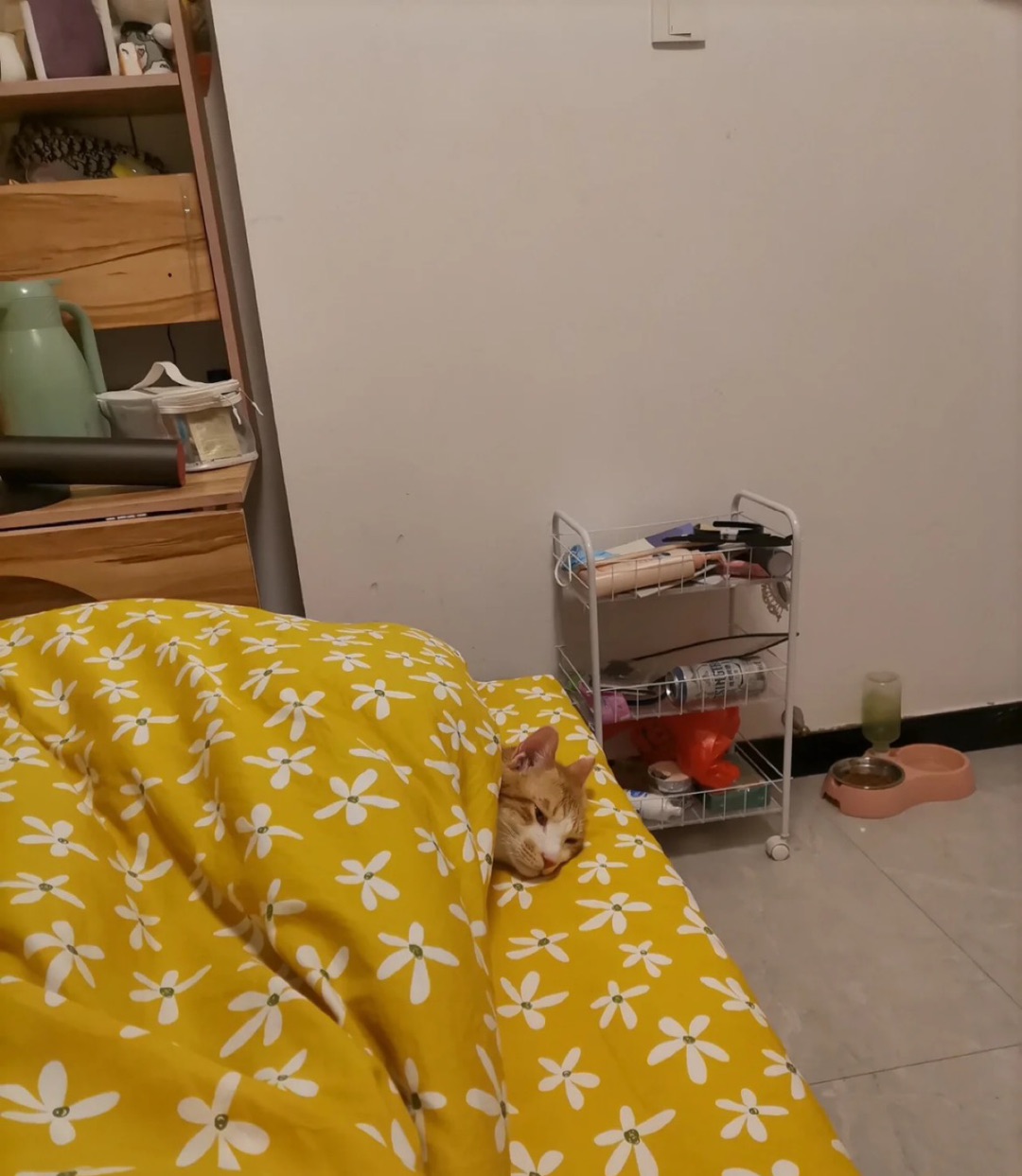 20221222140322front1_0_350249_Fq1vsxe2FovTziZIk2IkRccU9Nlw.jpg