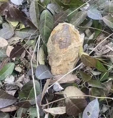 微信图片_20230106080950.png
