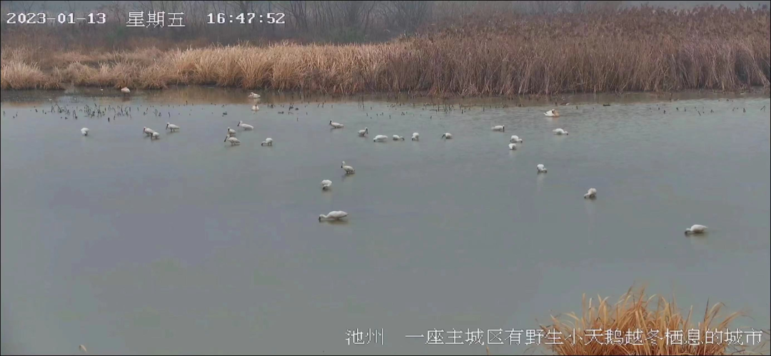 微信图片_20230116173807.png