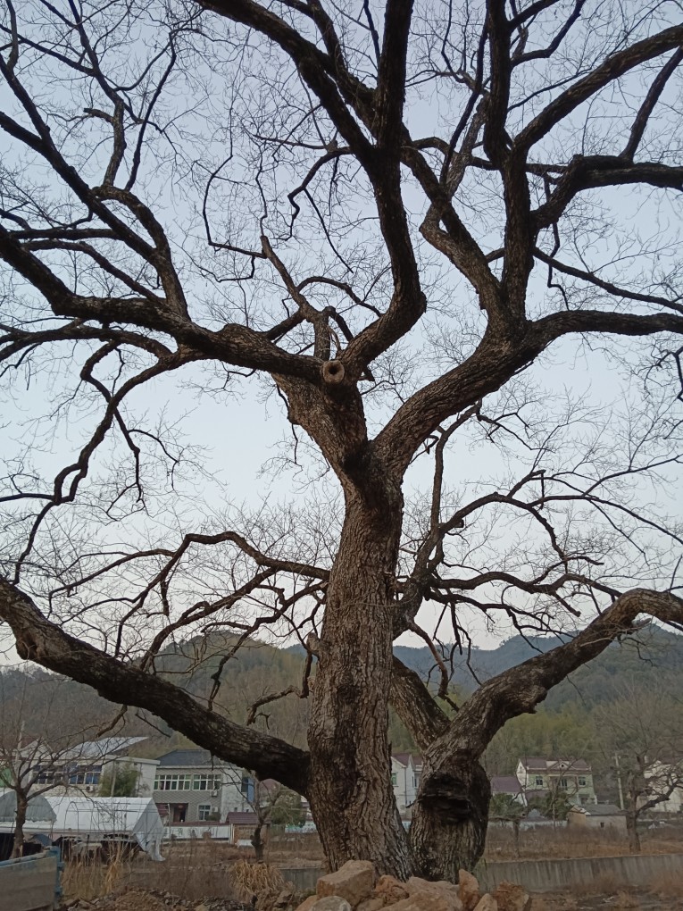 20230125171829front2_0_277725_Fk2pr9X_Rb98us89NgaEqO4aHYuo.jpg