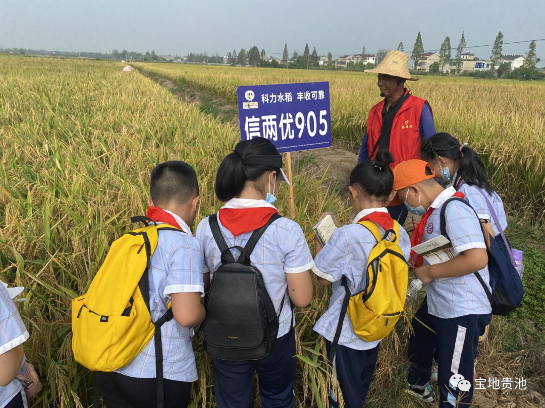 微信图片_20230128094539.png