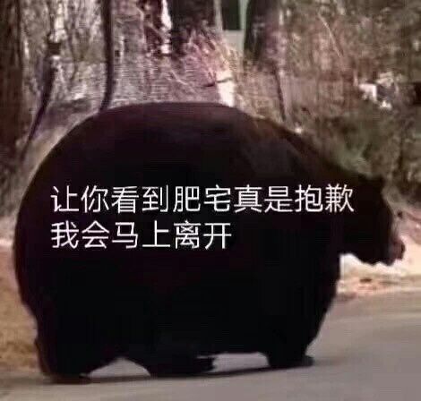 20230128181425front2_0_304337_FlVlp47JrxHy83r9EVJEhIjJlpjx.jpg