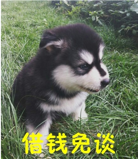 企业微信截图_1675052355441.png