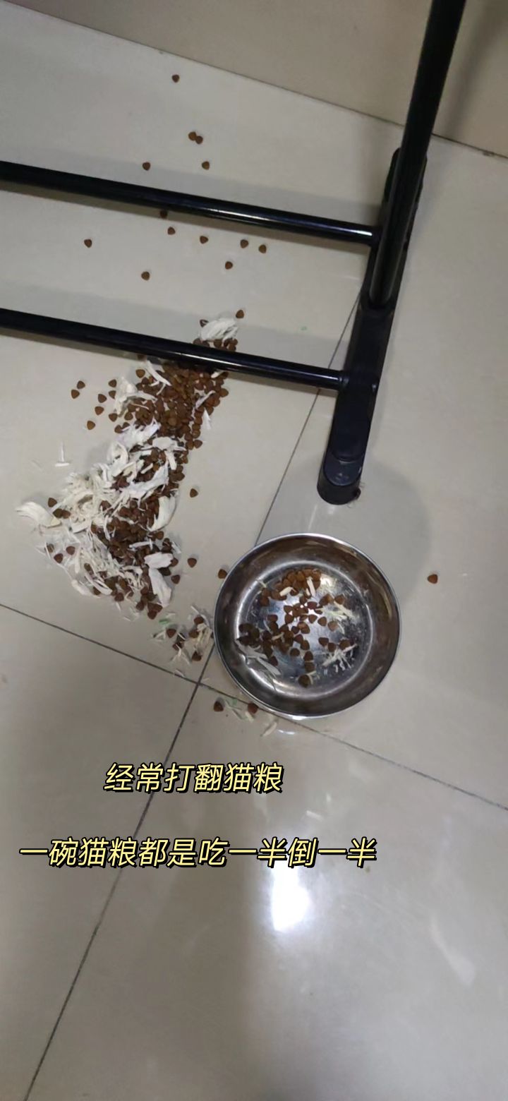 20230130223822front2_0_380835_FgSQjfbA7JDqEgxRKyBpKhnzELjN.jpg